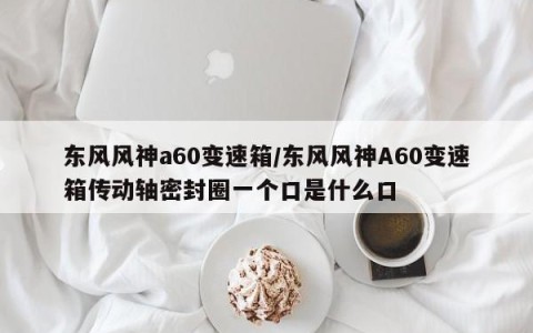 东风风神a60变速箱/东风风神A60变速箱传动轴密封圈一个口是什么口