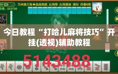 今日教程“打哈儿麻将技巧”开挂(透视)辅助教程