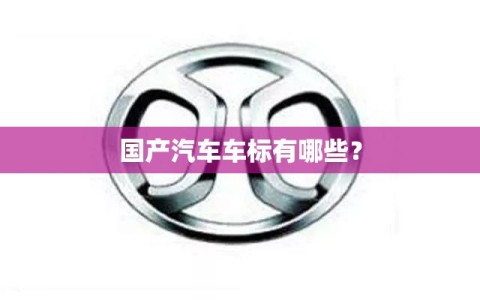 国产汽车车标有哪些？