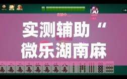 实测辅助“微乐湖南麻将三打哈有挂吗”详细外挂透视辅助软件教程