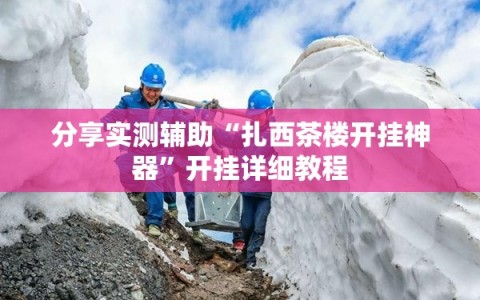 分享实测辅助“扎西茶楼开挂神器”开挂详细教程