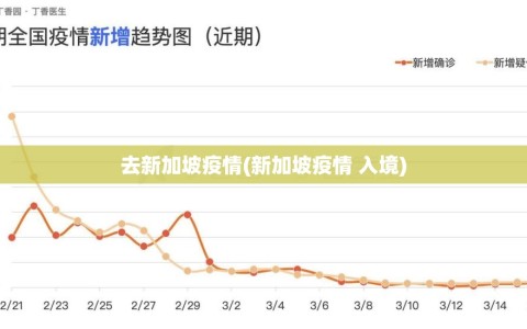 去新加坡疫情(新加坡疫情 入境)
