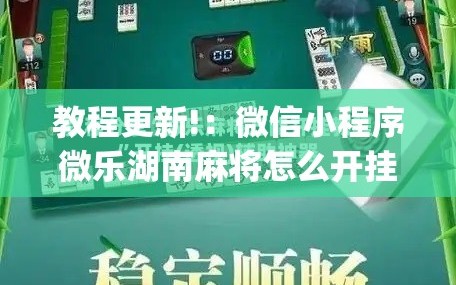 教程更新!：微信小程序微乐湖南麻将怎么开挂”(辅助神器)开挂详细教程