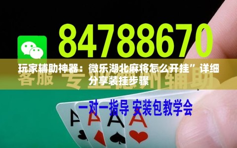 玩家辅助神器：微乐湖北麻将怎么开挂”详细分享装挂步骤