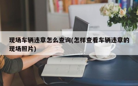 现场车辆违章怎么查询(怎样查看车辆违章的现场照片)