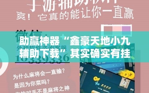 助赢神器“鑫豪天地小九辅助下载”其实确实有挂