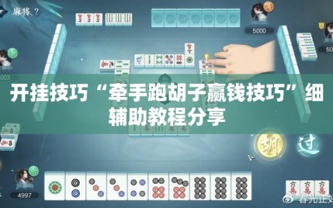 开挂技巧“牵手跑胡子赢钱技巧”细辅助教程分享