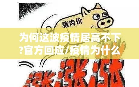 为何这波疫情居高不下?官方回应/疫情为什么不严重了