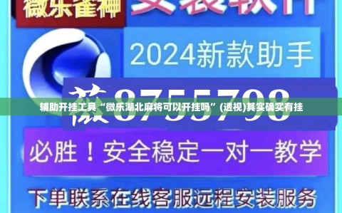 辅助开挂工具“微乐湖北麻将可以开挂吗”(透视)其实确实有挂