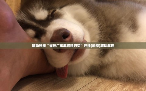 辅助神器“雀神广东麻将挂购买”开挂(透视)辅助教程