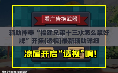 辅助神器“福建兄弟十三水怎么拿好牌”开挂(透视)最新辅助详细
