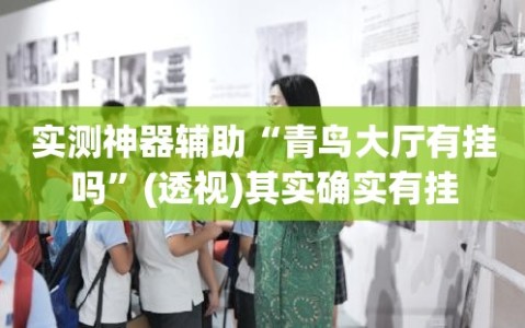 实测神器辅助“青鸟大厅有挂吗”(透视)其实确实有挂