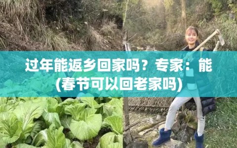 过年能返乡回家吗？专家：能(春节可以回老家吗)