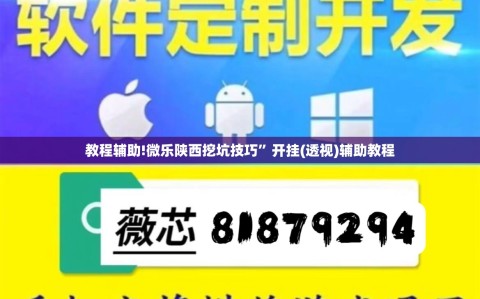 教程辅助!微乐陕西挖坑技巧”开挂(透视)辅助教程