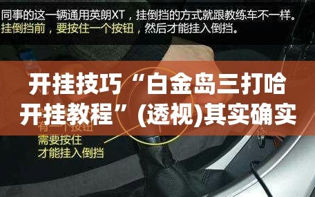 开挂技巧“白金岛三打哈开挂教程”(透视)其实确实有挂