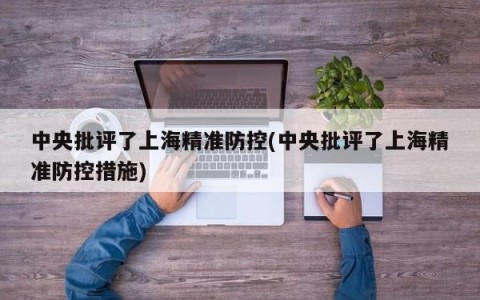 中央批评了上海精准防控(中央批评了上海精准防控措施)