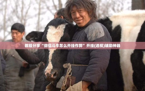 教程分享“微信斗牛怎么开挂作弊”开挂(透视)辅助神器