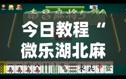 今日教程“微乐湖北麻将有挂吗”详细分享装挂步骤