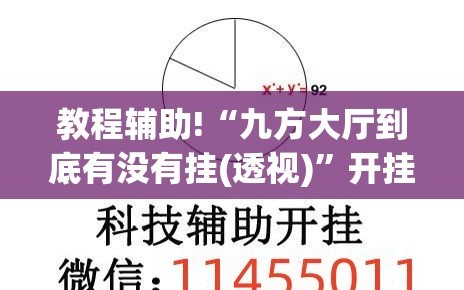 教程辅助!“九方大厅到底有没有挂(透视)”开挂辅助脚本+详细开挂安装教程