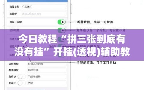 今日教程“拼三张到底有没有挂”开挂(透视)辅助教程
