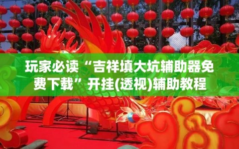 玩家必读“吉祥填大坑辅助器免费下载”开挂(透视)辅助教程