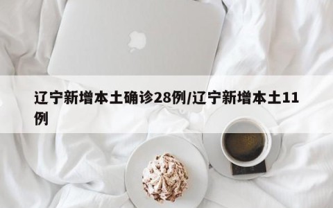 辽宁新增本土确诊28例/辽宁新增本土11例