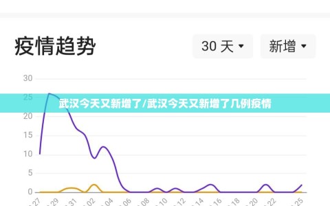 武汉今天又新增了/武汉今天又新增了几例疫情