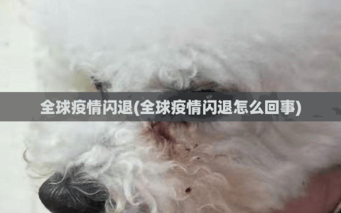 全球疫情闪退(全球疫情闪退怎么回事)