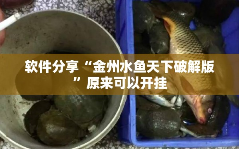 软件分享“金州水鱼天下破解版”原来可以开挂
