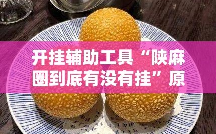 开挂辅助工具“陕麻圈到底有没有挂”原来可以开挂