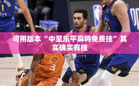 可用版本“中至乐平麻将免费挂”其实确实有挂
