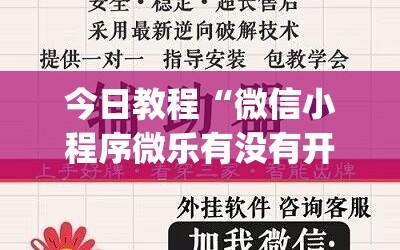 今日教程“微信小程序微乐有没有开挂神器”(透视)其实确实有挂