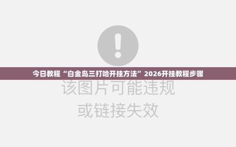 今日教程“白金岛三打哈开挂方法”2026开挂教程步骤