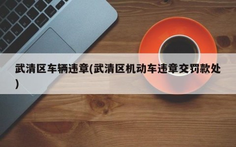 武清区车辆违章(武清区机动车违章交罚款处)