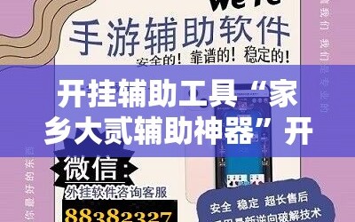 开挂辅助工具“家乡大贰辅助神器”开挂辅助脚本+详细开挂安装教程