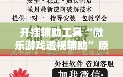 开挂辅助工具“微乐游戏透视辅助”原来可以开挂