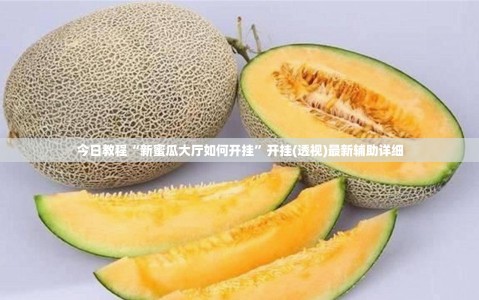 今日教程“新蜜瓜大厅如何开挂”开挂(透视)最新辅助详细