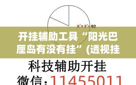 开挂辅助工具“阳光巴厘岛有没有挂”(透视挂)辅助下载教程