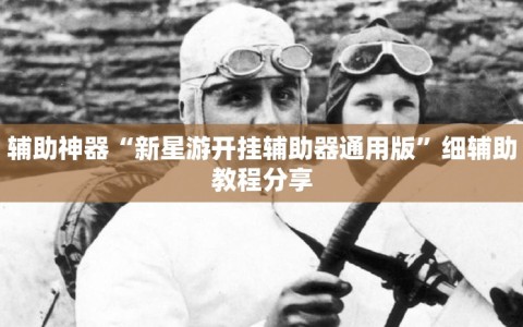 辅助神器“新星游开挂辅助器通用版”细辅助教程分享