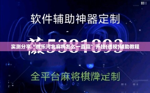 实测分享“微乐河北麻将怎么一直赢”开挂(透视)辅助教程