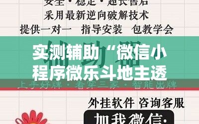 实测辅助“微信小程序微乐斗地主透视软件免费下载”细辅助教程分享