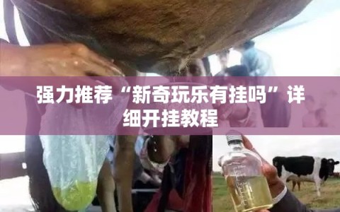 强力推荐“新奇玩乐有挂吗”详细开挂教程
