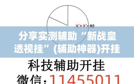 分享实测辅助“新战皇透视挂”(辅助神器)开挂详细教程
