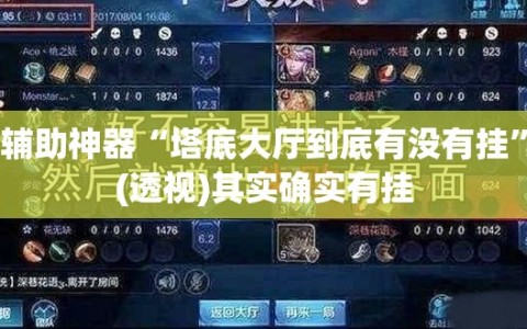 辅助神器“塔底大厅到底有没有挂”(透视)其实确实有挂