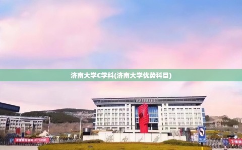 济南大学C学科(济南大学优势科目)