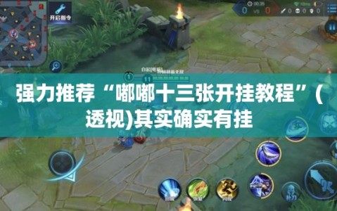 强力推荐“嘟嘟十三张开挂教程”(透视)其实确实有挂