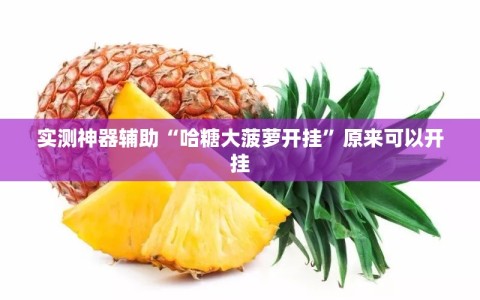 实测神器辅助“哈糖大菠萝开挂”原来可以开挂