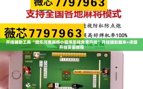开挂辅助工具“微乐河南麻将小程序怎样免费开挂”开挂辅助脚本+详细开挂安装教程