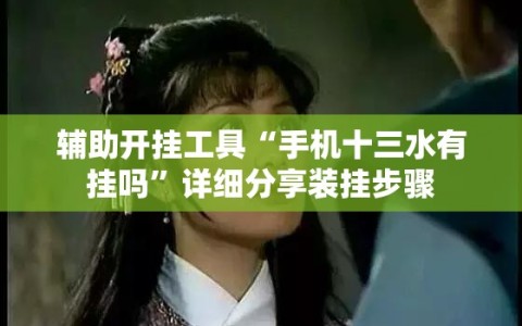 辅助开挂工具“手机十三水有挂吗”详细分享装挂步骤