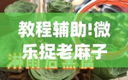 教程辅助!微乐捉老麻子有没有开挂神器”(透视)其实确实有挂